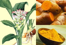 turmeric_food_use2.jpg